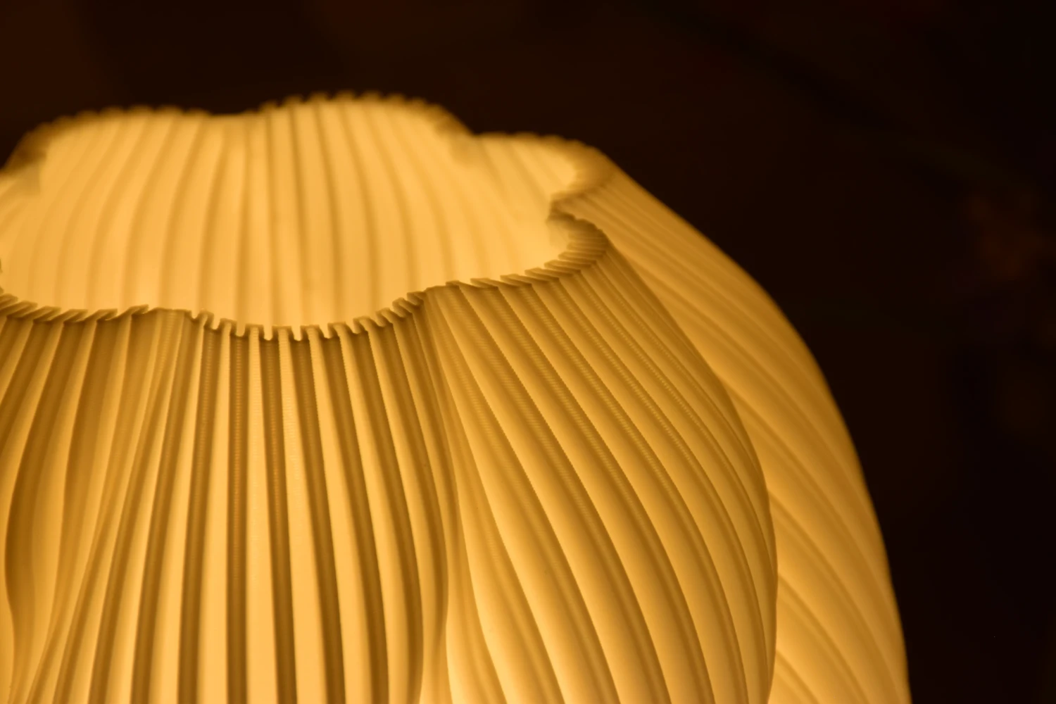 Sculpted Detail